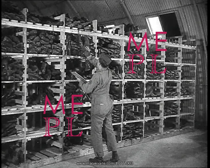 : An American Store Keeper Logging Stocks Of : An American Store Keeper Logging Stocks Of