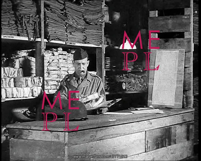 : An American Store Keeper Logging Stocks Of : An American Store Keeper Logging Stocks Of
