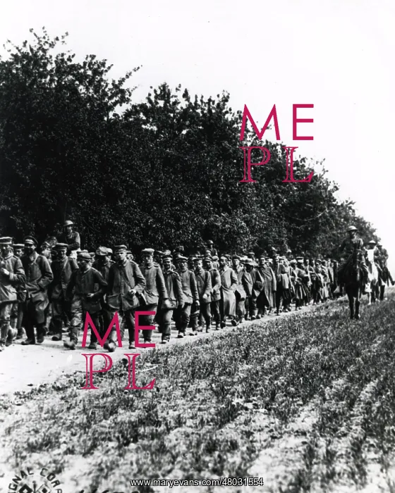 : American troops with German prisoners, Belleau Wood, WW1 : American troops with German prisoners, Belleau Wood, WW1