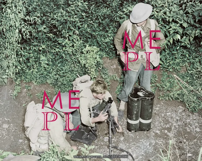 : American troops set up a small trench mortar : American troops set up a small trench mortar