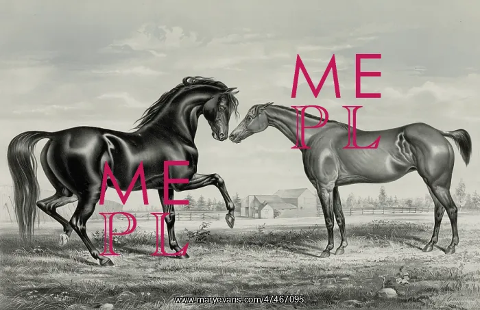 : American trotting stud: Mambino Pilot, Flora Temple : American trotting stud: Mambino Pilot, Flora Temple