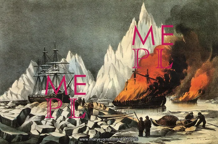 : American Whalers Crushed in the Ice : American Whalers Crushed in the Ice