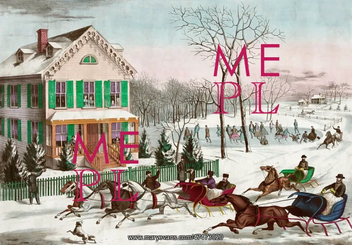 : American winter scene : American winter scene