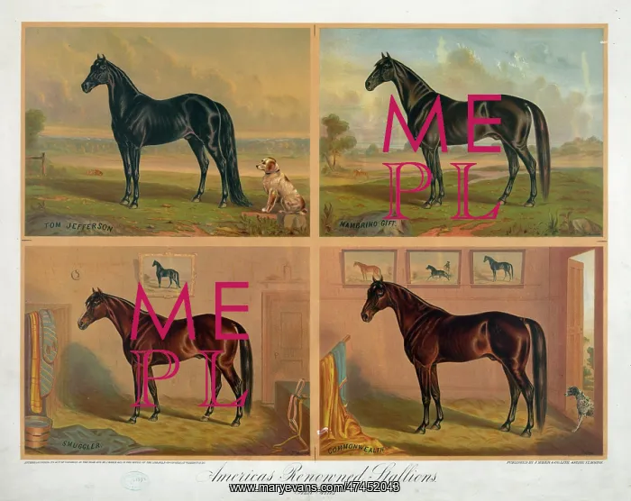  : Americas renowned stallions