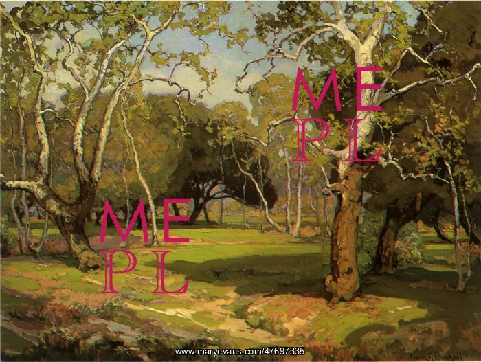  : Amidst the Cool and Silence