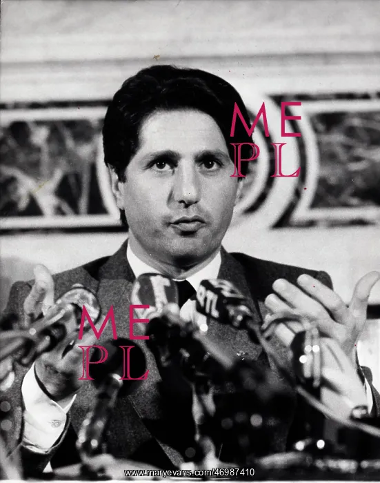 : Amine Gemayel : Amine Gemayel