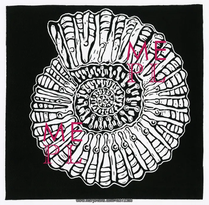  : Ammonite