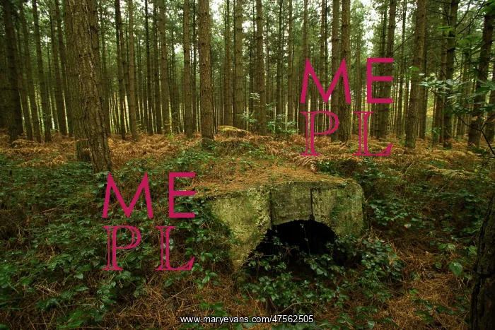 : Ammunition Bunker in Polygon Wood: : Ammunition Bunker in Polygon Wood: