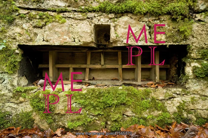 : Ammunition rack, Bavarian trench, Brule Woods, France : Ammunition rack, Bavarian trench, Brule Woods, France