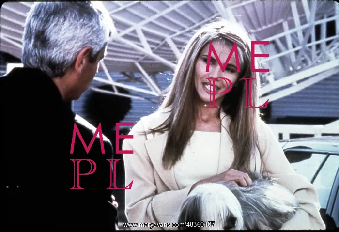 : Amores Perros : Amores Perros
