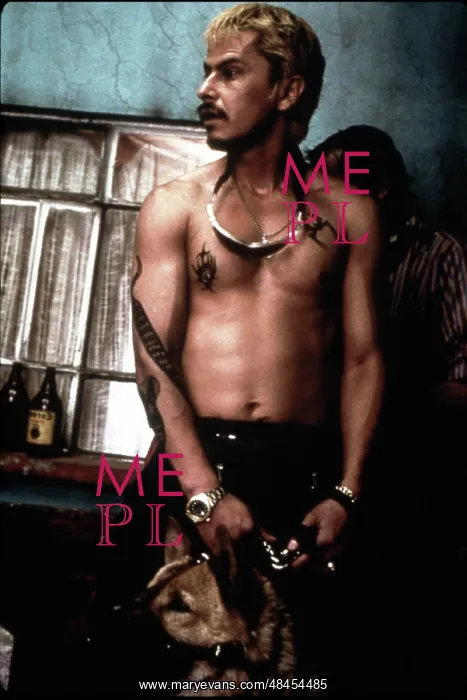 : Amores Perros : Amores Perros