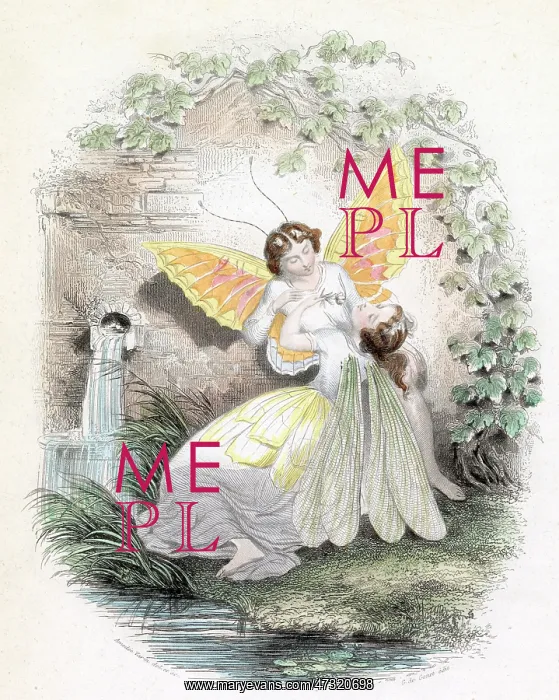 : AMOROUS LEPIDOPTERA : AMOROUS LEPIDOPTERA