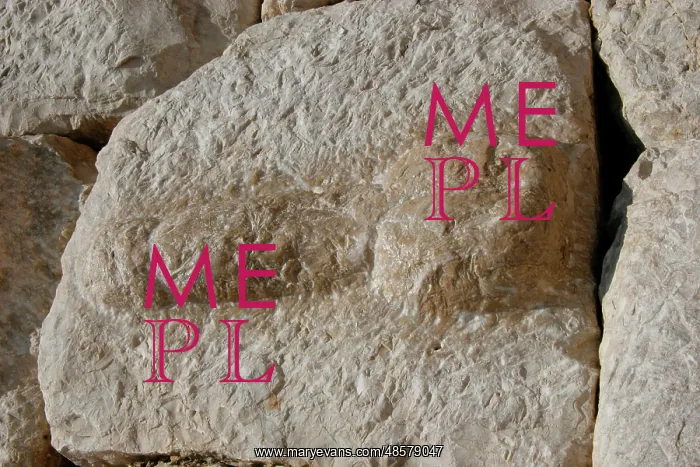  : Ampurias. Wall. Built in 1st century B.C. Phallus. Relief