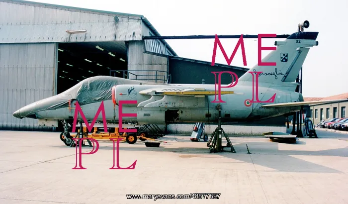 : AMX international AMX : AMX international AMX
