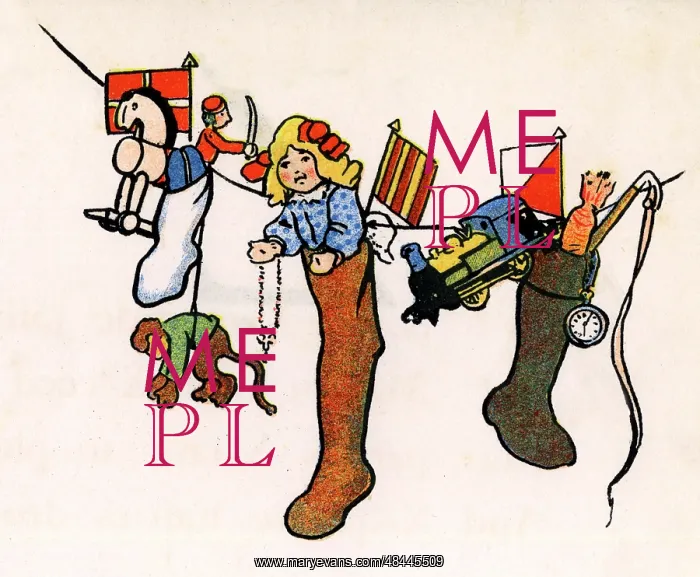 : Amy's Wonderful At Home : Amy's Wonderful At Home