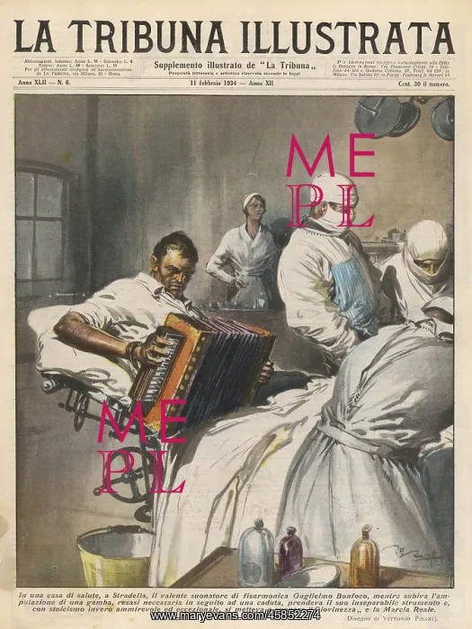 : ANAESTHESIA / ACCORDIONIST : ANAESTHESIA / ACCORDIONIST
