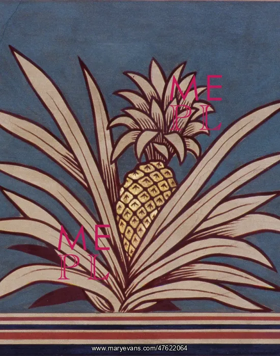  : Ananas comosus, pineapple