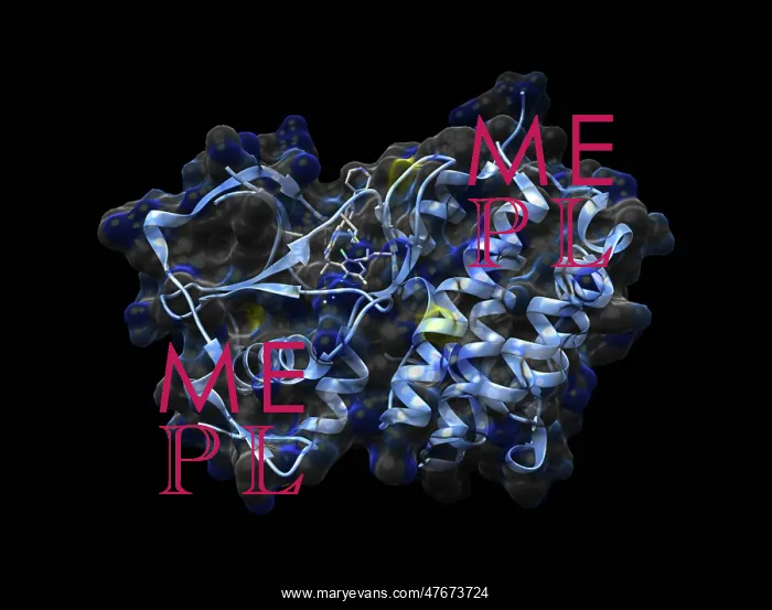 : Anaplastic Lymphoma Kinase with Crizotinib : Anaplastic Lymphoma Kinase with Crizotinib