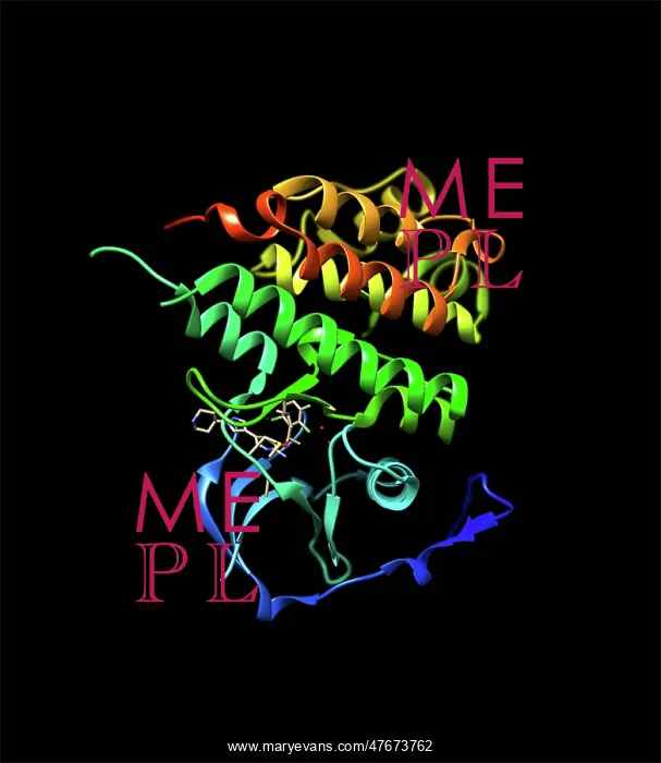 : Anaplastic Lymphoma Kinase with Crizotinib : Anaplastic Lymphoma Kinase with Crizotinib
