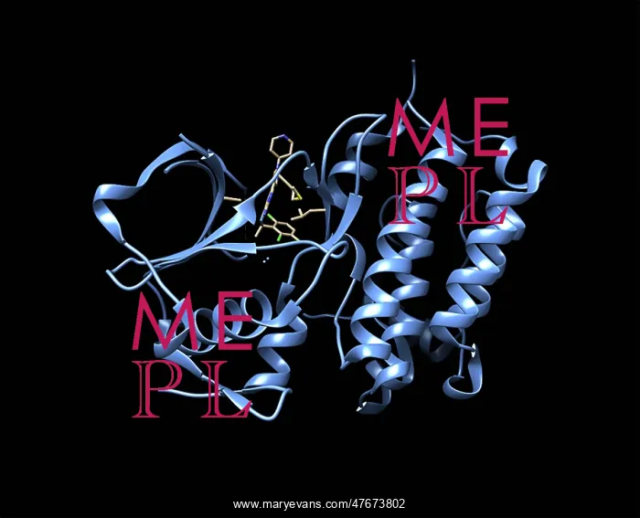 : Anaplastic Lymphoma Kinase with Crizotinib : Anaplastic Lymphoma Kinase with Crizotinib