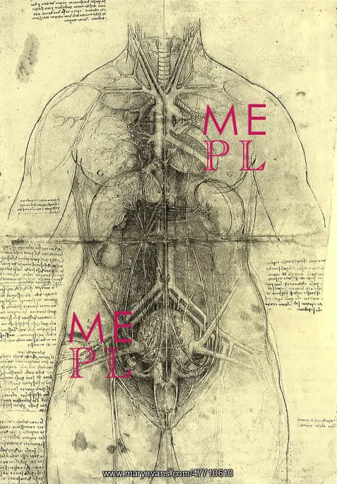  : Anatomical Structure