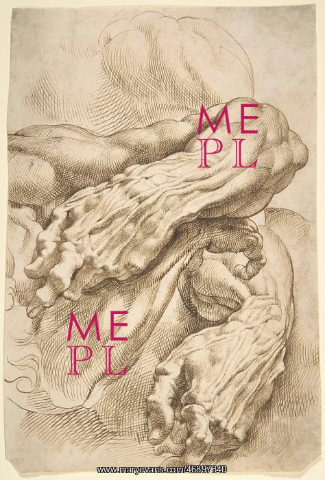 : Anatomical Studies, left forearm, by Rubens : Anatomical Studies, left forearm, by Rubens
