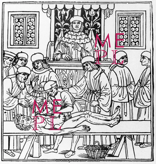 : Anatomy class, 14th century : Anatomy class, 14th century