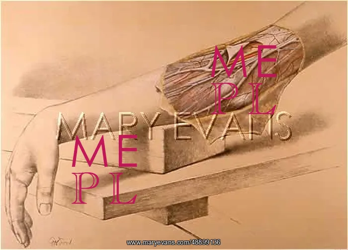 : ANATOMY / ELBOW / 1867 : ANATOMY / ELBOW / 1867