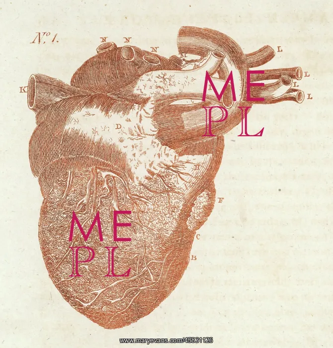  : ANATOMY / HEART / SIBLY