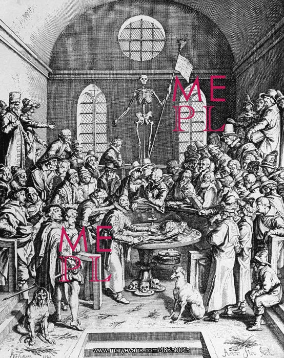 : Anatomy lecture, around 1650 : Anatomy lecture, around 1650