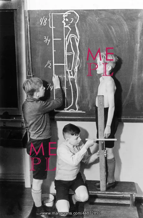  : ANATOMY LESSON