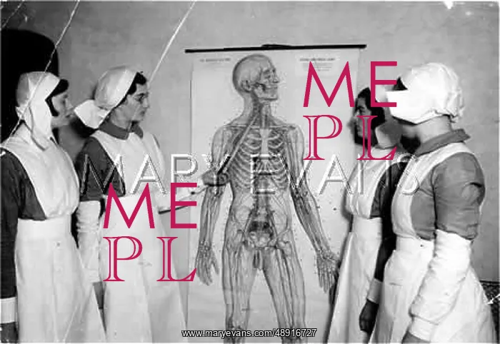 : AN ANATOMY LESSON : AN ANATOMY LESSON
