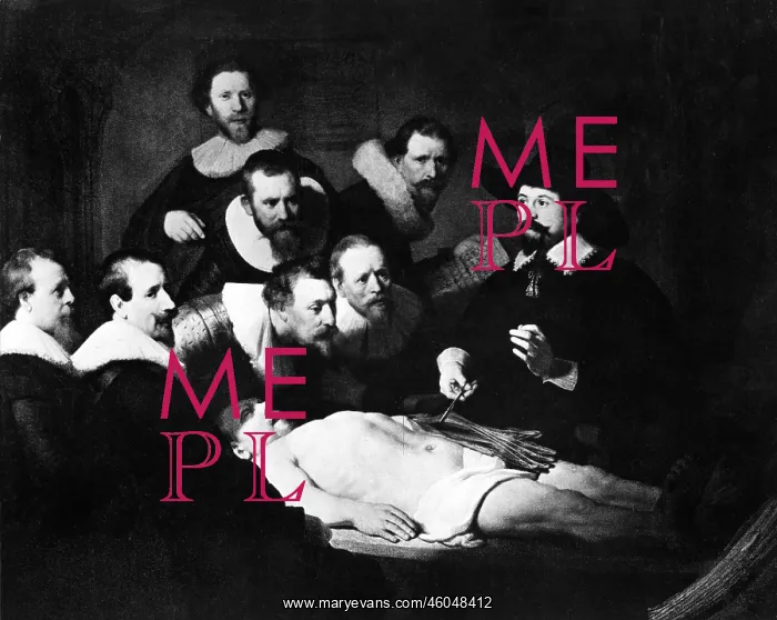: The Anatomy Lesson of Dr. Nicolaes Tulp : The Anatomy Lesson of Dr. Nicolaes Tulp