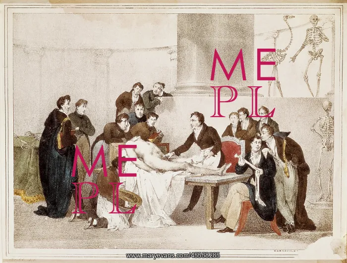  : Anatomy lesson at the Sorbonne University in
