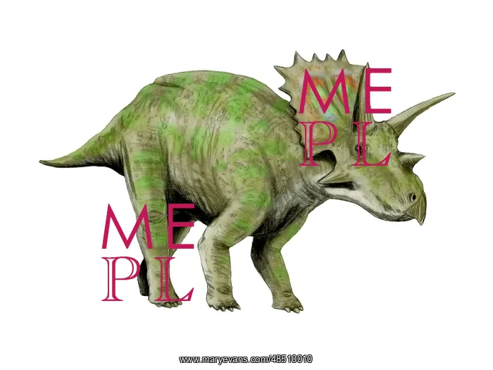 : Anchiceratops dinosaur : Anchiceratops dinosaur