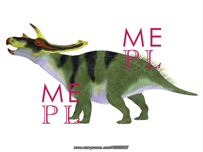 : Anchiceratops dinosaur, side profile : Anchiceratops dinosaur, side profile