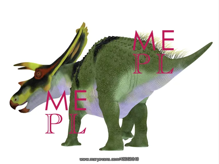 : Anchiceratops dinosaur, rear view : Anchiceratops dinosaur, rear view