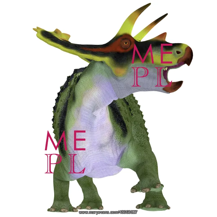 : Anchiceratops dinosaur on white background : Anchiceratops dinosaur on white background