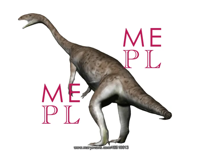 : Anchisaurus dinosaur : Anchisaurus dinosaur