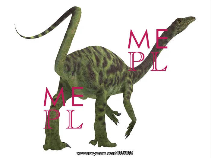: Anchisaurus dinosaur, rear view : Anchisaurus dinosaur, rear view