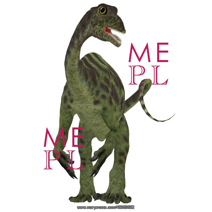 : Anchisaurus dinosaur, front view : Anchisaurus dinosaur, front view