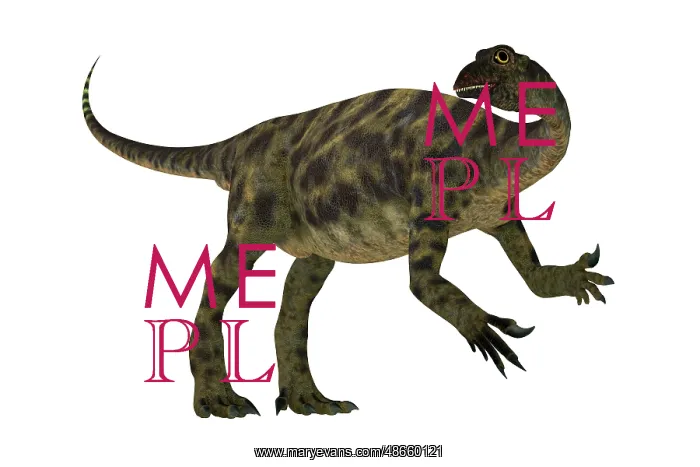 : Anchisaurus dinosaur, side view on white background : Anchisaurus dinosaur, side view on white background
