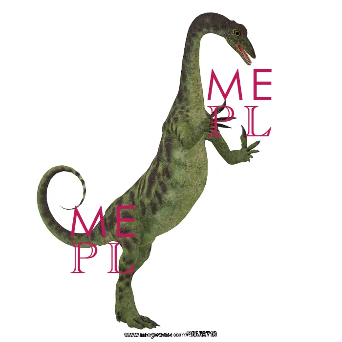 : Anchisaurus dinosaur on white background : Anchisaurus dinosaur on white background