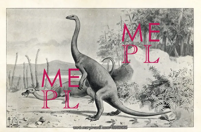: Anchisaurus polyzelus : Anchisaurus polyzelus