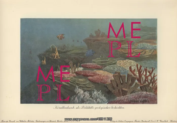 : Ancient coral reefs : Ancient coral reefs