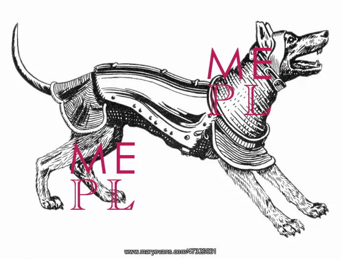 : Ancient Dog Armour - 1 : Ancient Dog Armour - 1