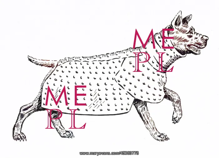 : ANCIENT DOG ARMOUR - 2 : ANCIENT DOG ARMOUR - 2