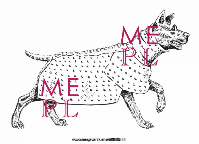 : ANCIENT DOG ARMOUR - 2 : ANCIENT DOG ARMOUR - 2
