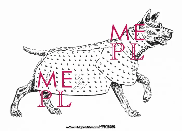 : ANCIENT DOG ARMOUR - 2 : ANCIENT DOG ARMOUR - 2