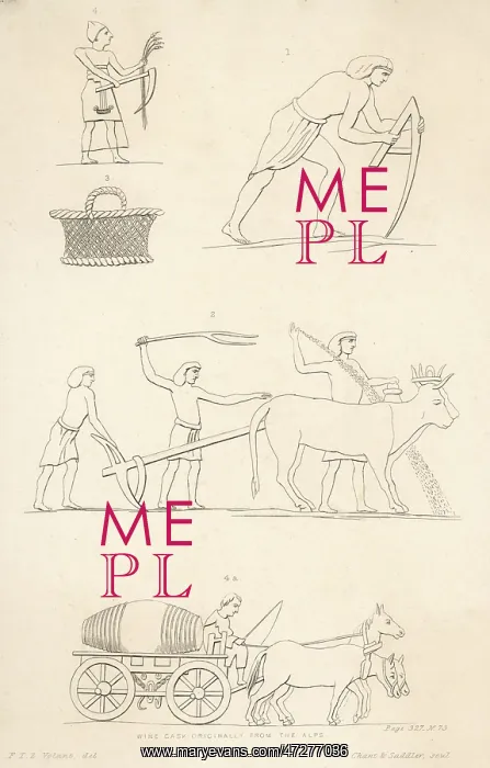 : ANCIENT EGYPT FARMING : ANCIENT EGYPT FARMING
